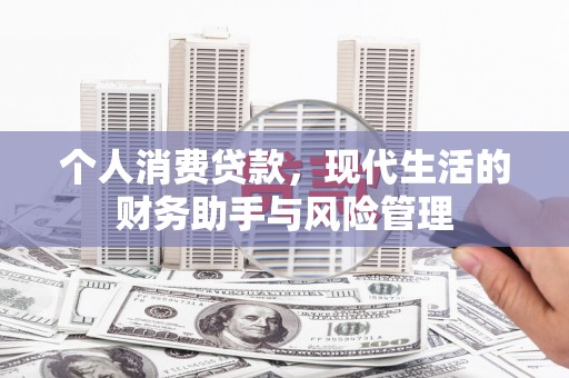 大宁个人消费贷款，现代生活的财务助手与风险管理